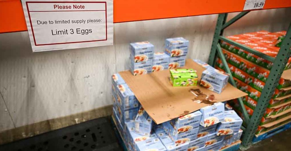 বার্ড ফ্লুর প্রকোপে ডিম বিক্রি সীমিত যুক্তরাষ্ট্রে, বেড়ে গেছে চুরি